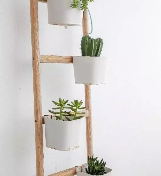 Le Family Palms My Home