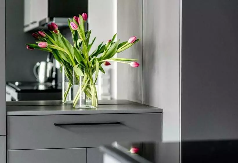 Vilnius Old Town Studio Renessaince 5