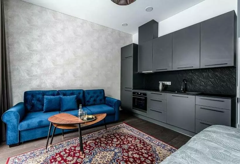 Vilnius Old Town Studio Renessaince 5