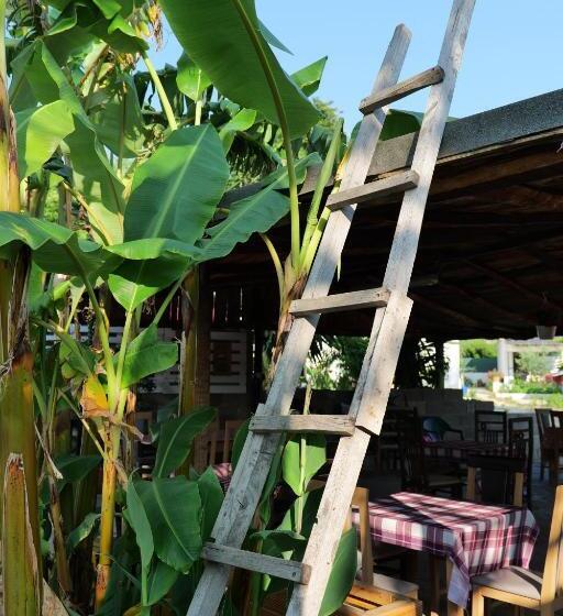 هتل Tropikal Freskia Bunec