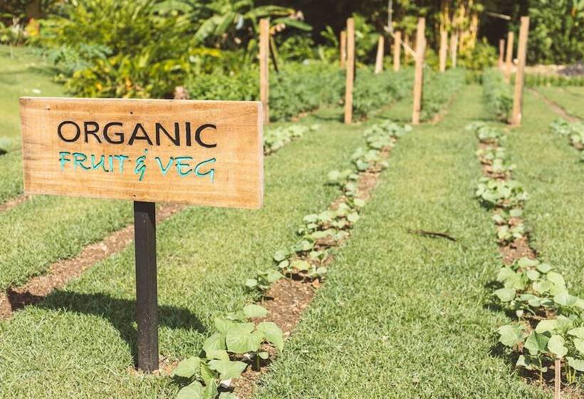 Kunken Boutique Hotel & Spa