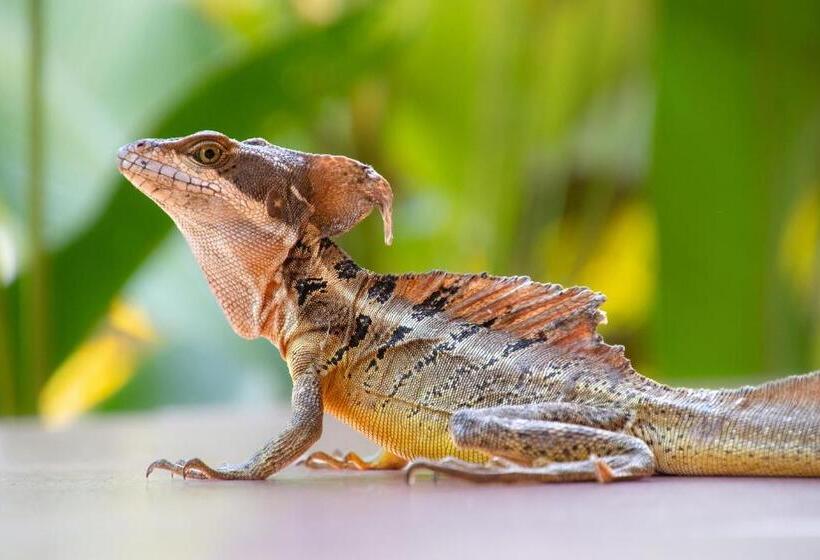 Kunken Boutique Hotel & Spa