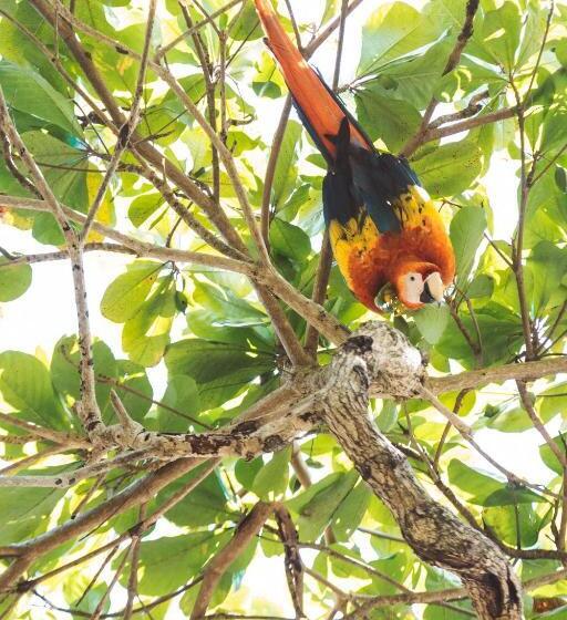 Kunken Boutique Hotel & Spa