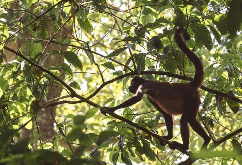 Kunken Boutique Hotel & Spa