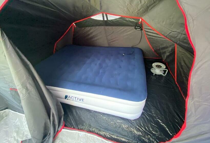 Pension Ferienhaus Villa Bröckelstein Zuhause Mit Wohlfühlfaktor