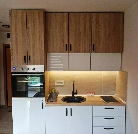 Studio Apartman Gorski Kristal