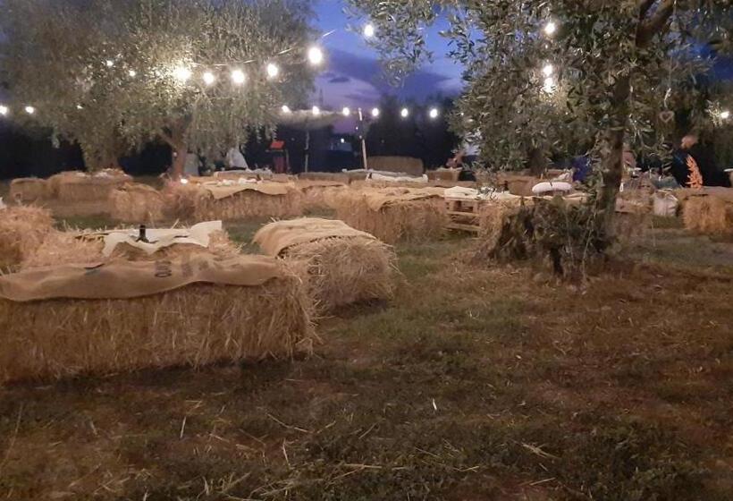 Beucarnea Apartment Salerno