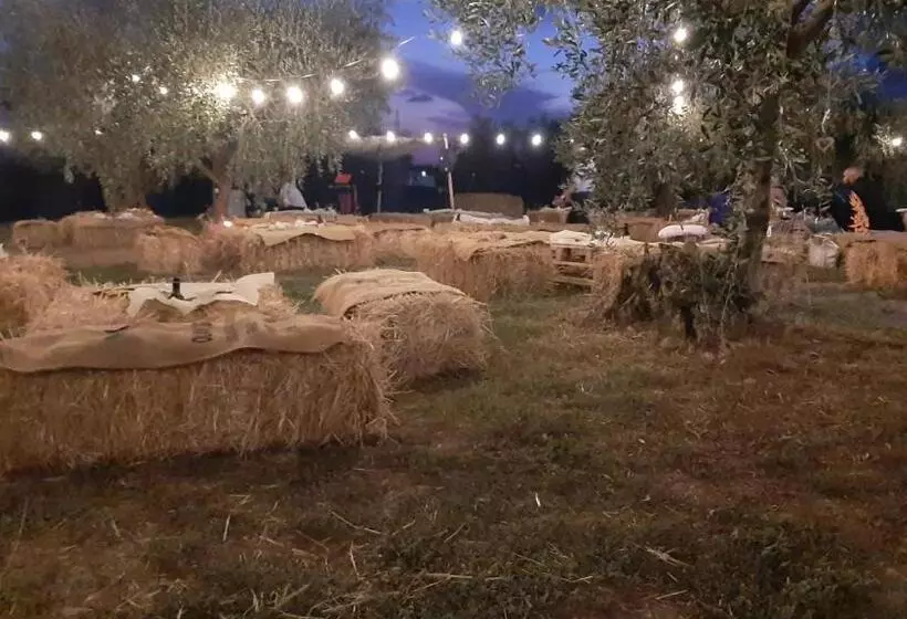 Beucarnea Apartment Salerno