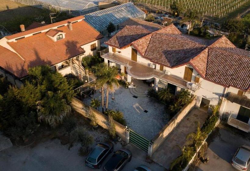 Beucarnea Apartment Salerno