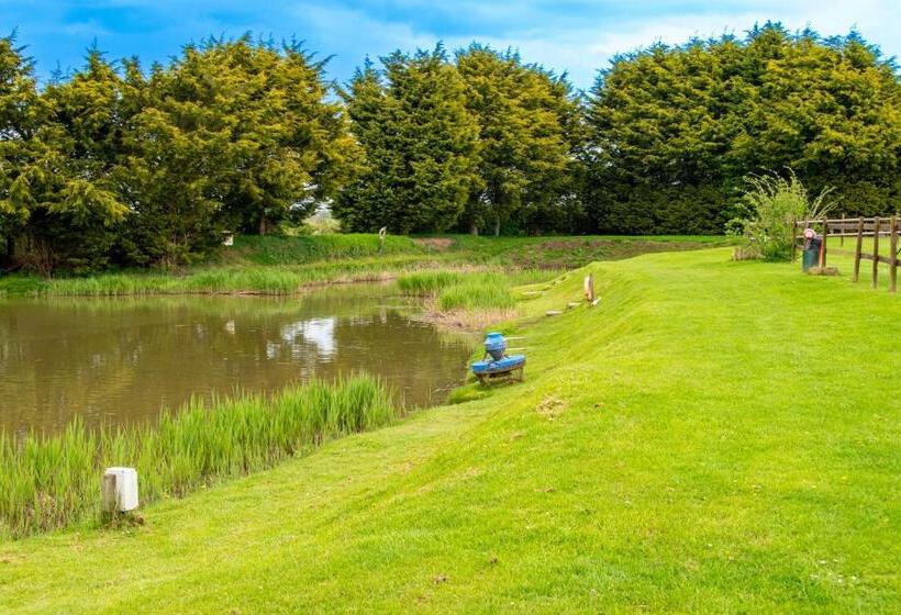 Birchwood In Skegness