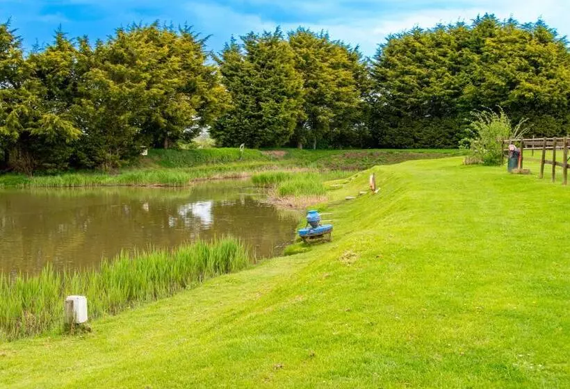 Birchwood In Skegness