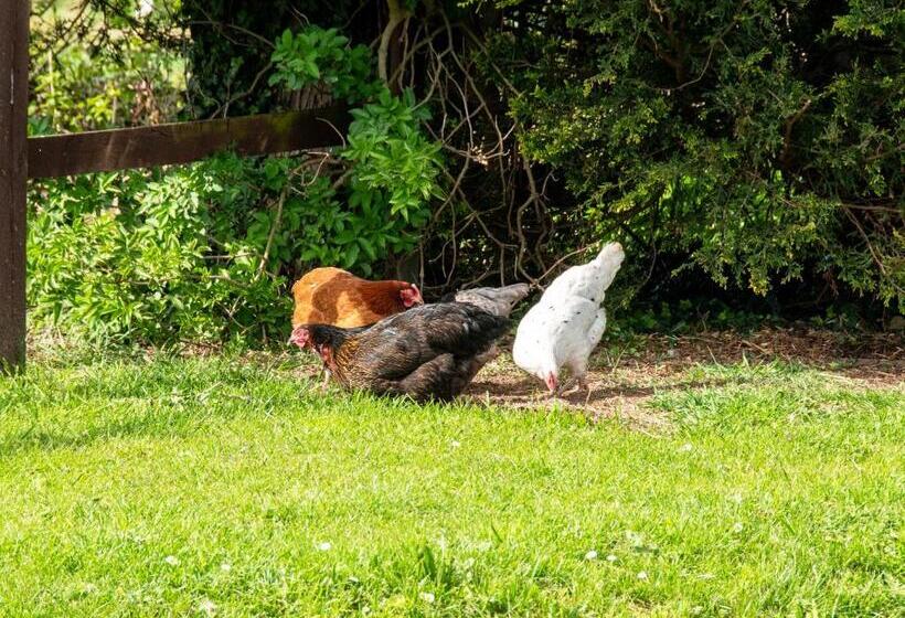 Birchwood In Skegness