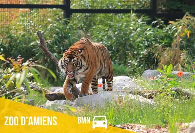 Le Chaudron D Or   41m2   Hyper Centre   Mezzanine   Clim   Wifi Hd