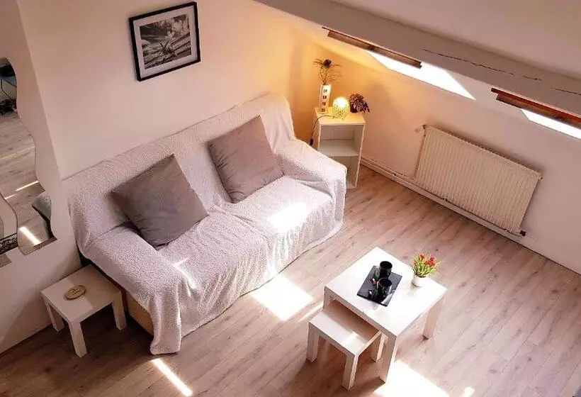 Le Chaudron D Or   41m2   Hyper Centre   Mezzanine   Clim   Wifi Hd