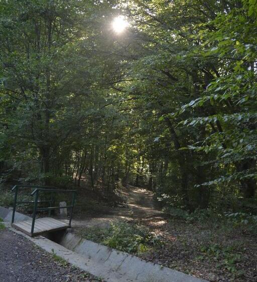 پانسیون Casa Muskátli Vendégház