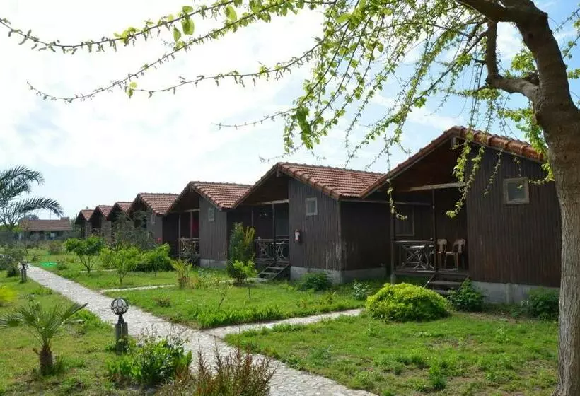 تختخواب و صبحانه Nun Bungalows