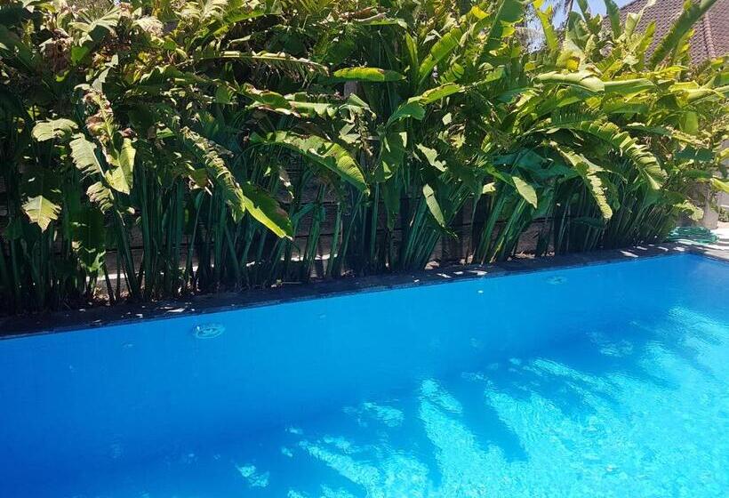 민박 Vila Troja Kubu