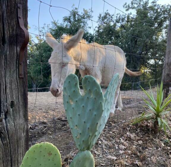 酒店 Agriturismo Pranu