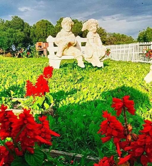 ホテル Agriturismo Sorres