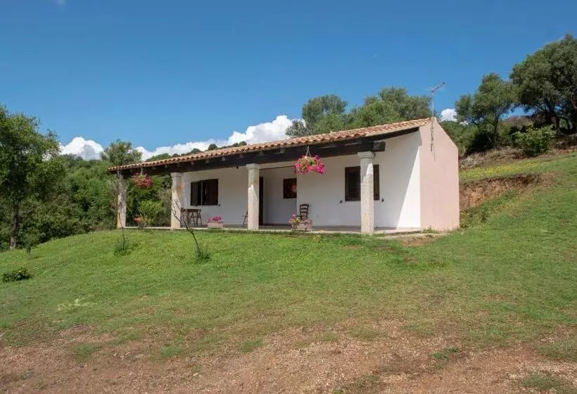 ホテル Agriturismo Sorres