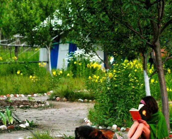 Hotelli Banjara Camp And Retreat Sangla