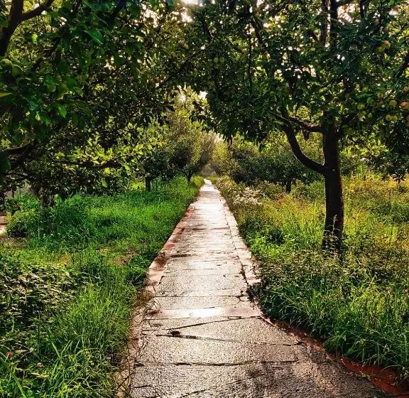 Hotelli Banjara Camp And Retreat Sangla