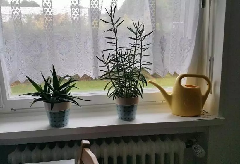 ホテル Ferienwohnung Rombachs Spatzennest