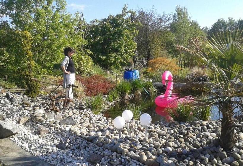 Отель Ferienwohnung Rombachs Spatzennest