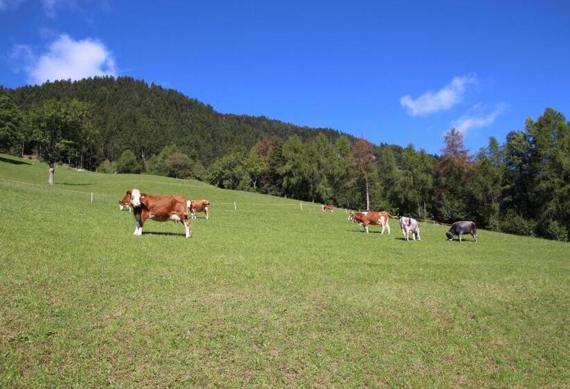 酒店 Gasthof Walde