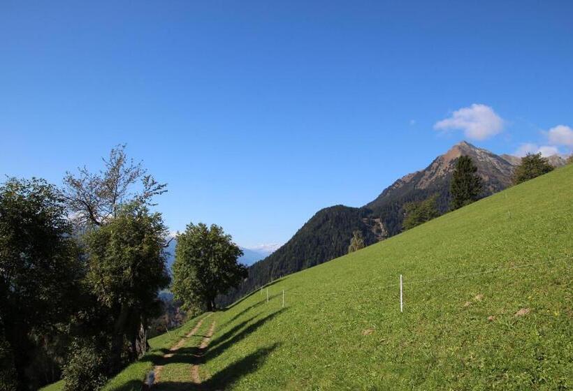 酒店 Gasthof Walde