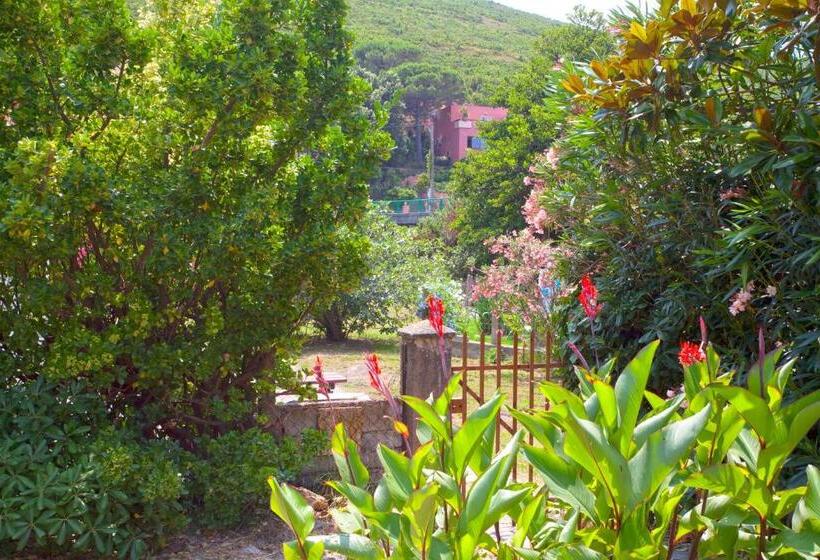 酒店 Macchia E Mare