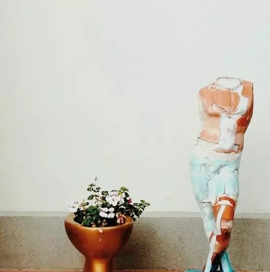 ペンション Casa Cu Smochin | House With The Fig