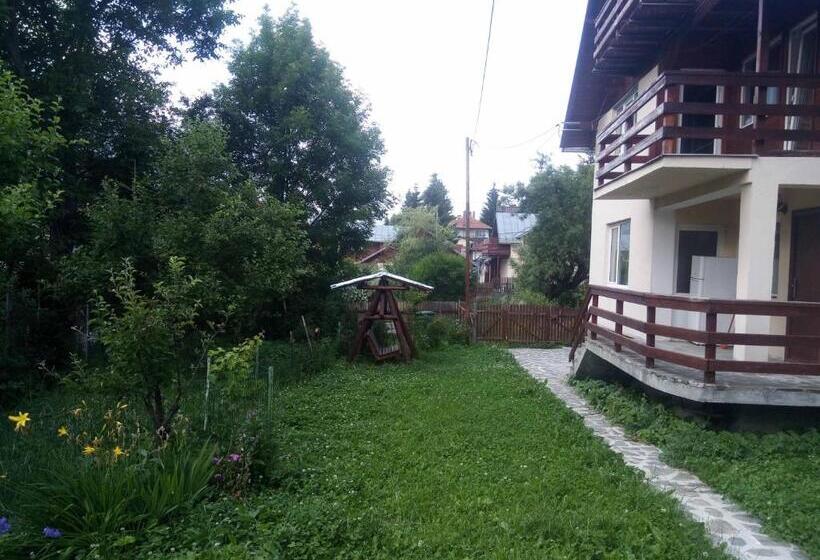 ペンション Casa Ddm Daniel