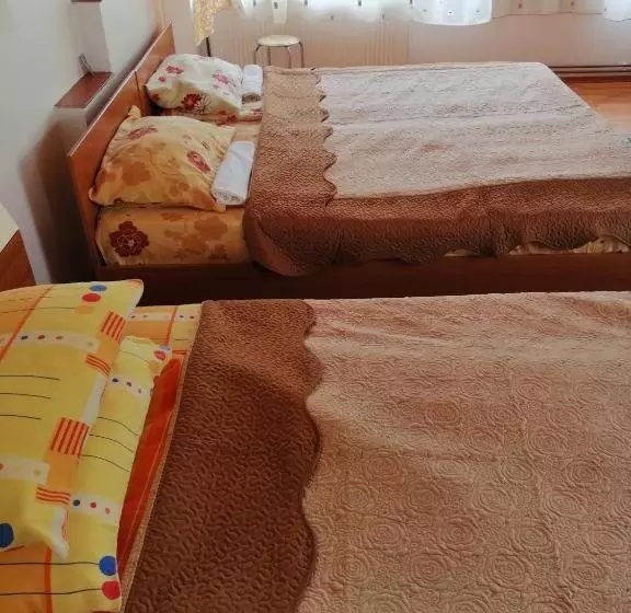 Pensjonat Casa Ddm Daniel