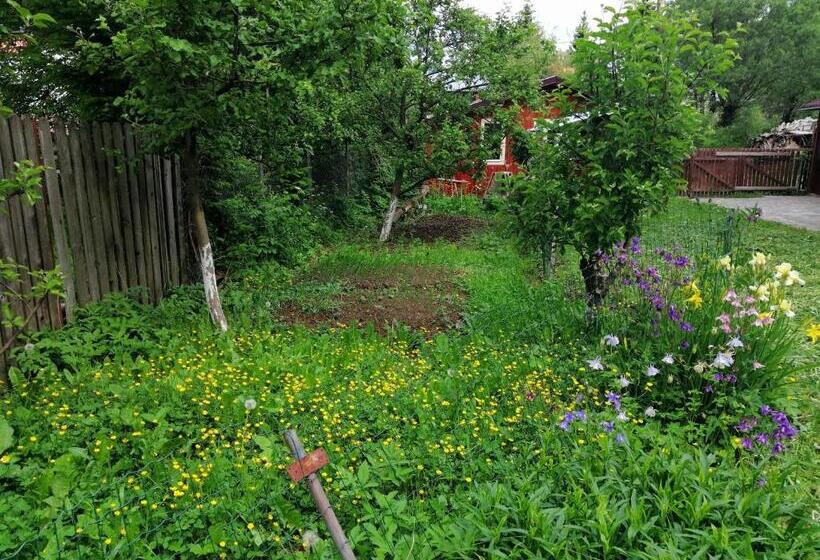 ペンション Casa Ddm Daniel