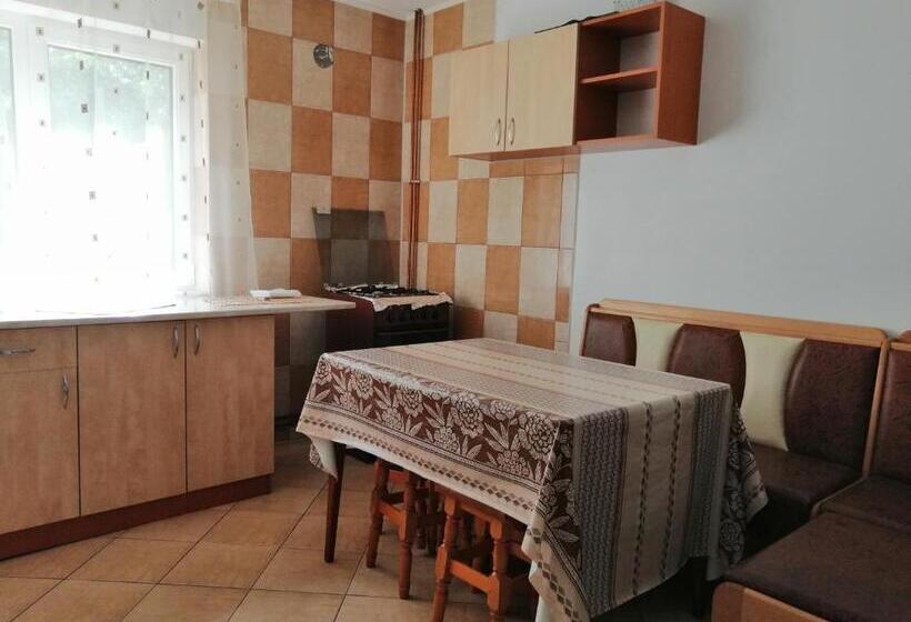 ペンション Casa Ddm Daniel