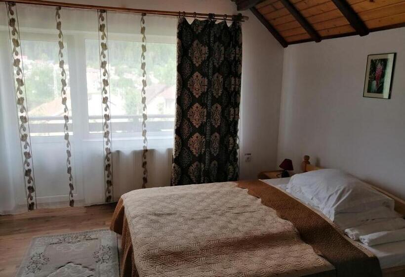 ペンション Casa Ddm Daniel