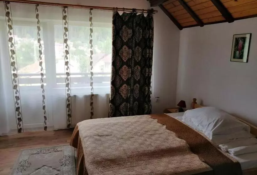Pensjonat Casa Ddm Daniel