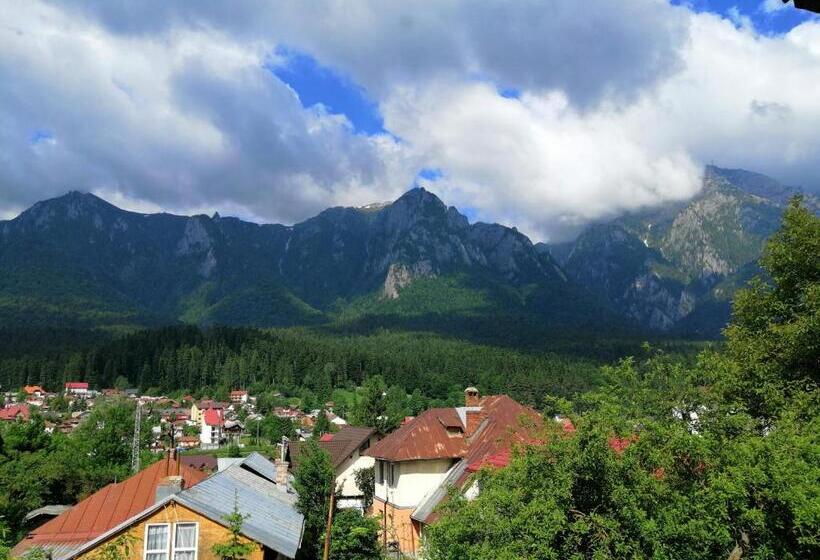 ペンション Casa Ddm Daniel