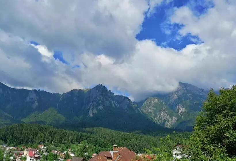 Pensjonat Casa Ddm Daniel