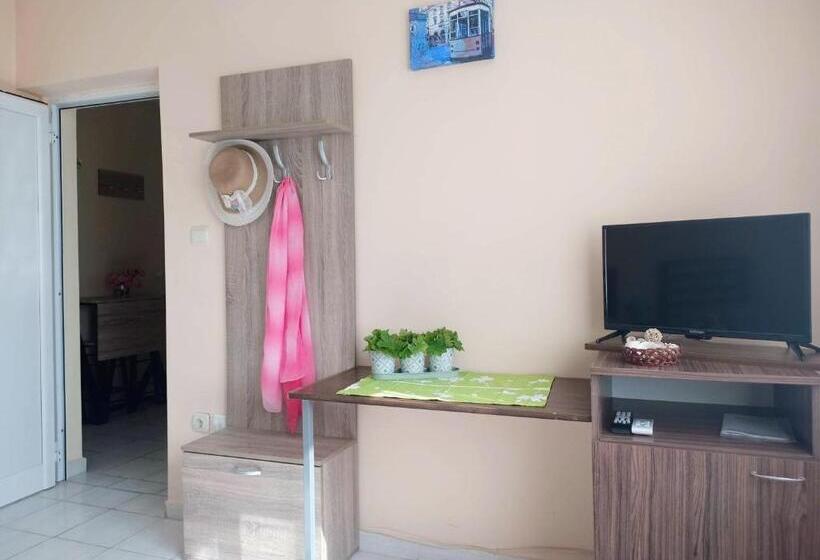 פנסיון Guest House 51