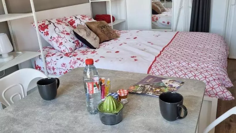 Vittel Studio Neuf En Centre Ville Idéal Curiste