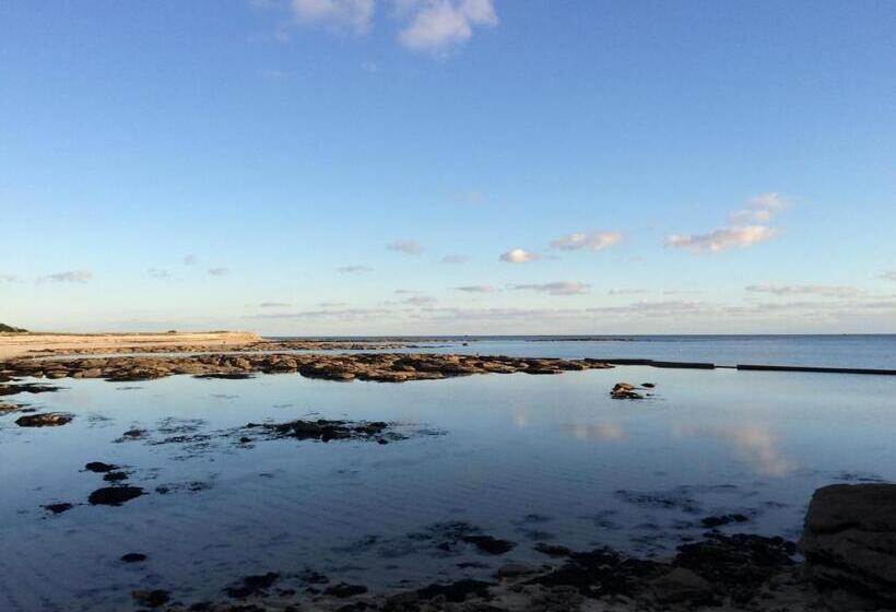 旅馆 Bigouden Backpacker