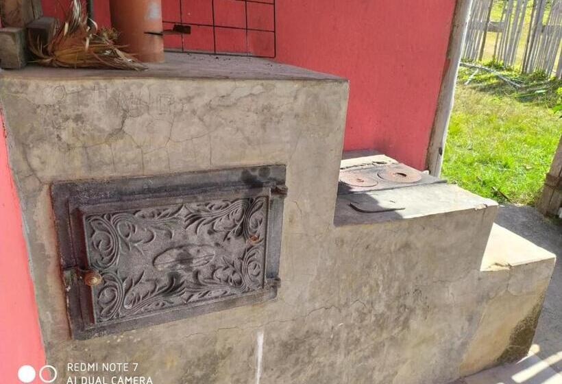 ユースホステル Pouso Do Elefante