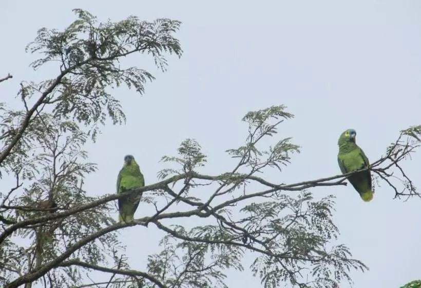 ユースホステル Pouso Do Elefante