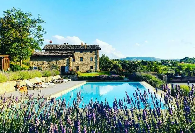 ホテル Agriturismo Podere Prasiano