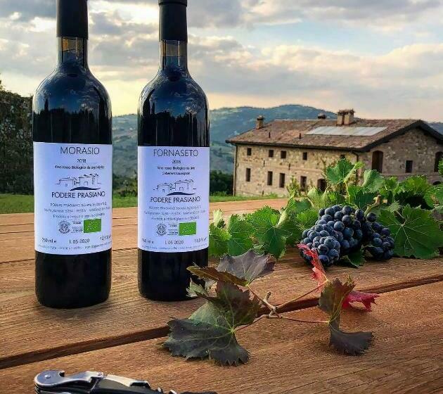 בית מלון כפרי Agriturismo Podere Prasiano