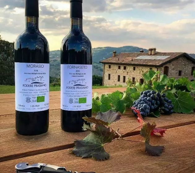 ホテル Agriturismo Podere Prasiano