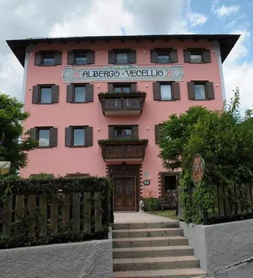 ホテル Albergo Vecellio