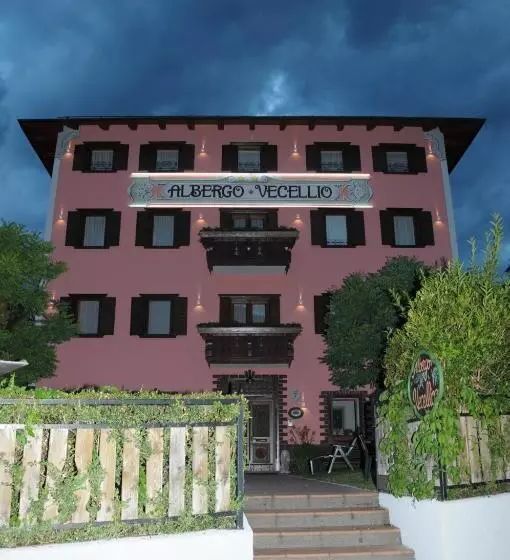 ホテル Albergo Vecellio